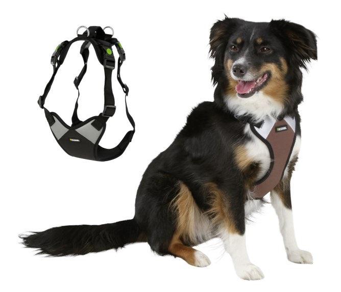 Harnais pour Chien Pulsive - SHOPHORSE